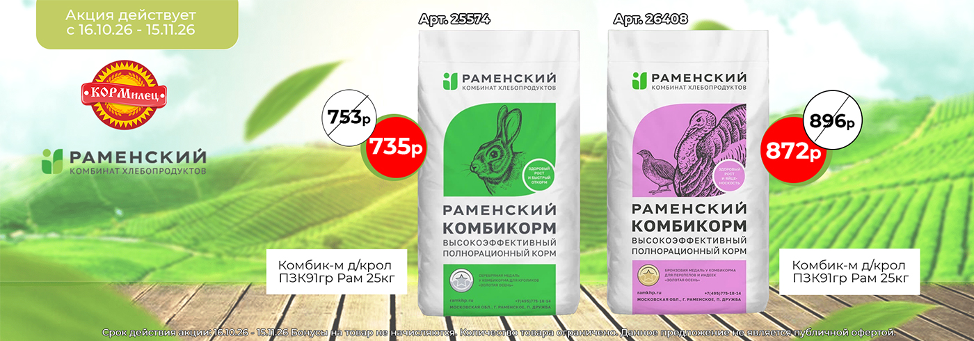 Баннер