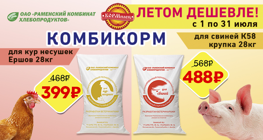 ЛЕТОМ ДЕШЕВЛЕ!