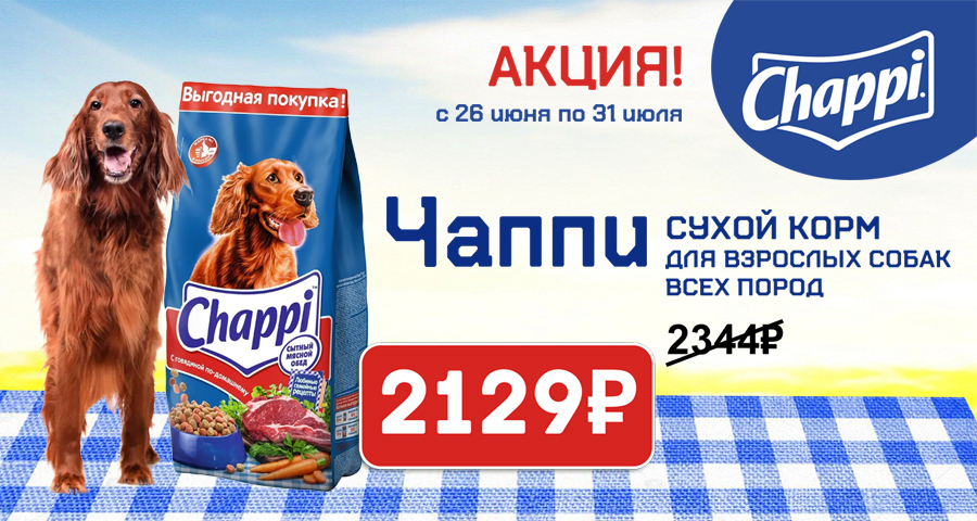 Акция! Сухой корм Чаппи по выгодной цене!