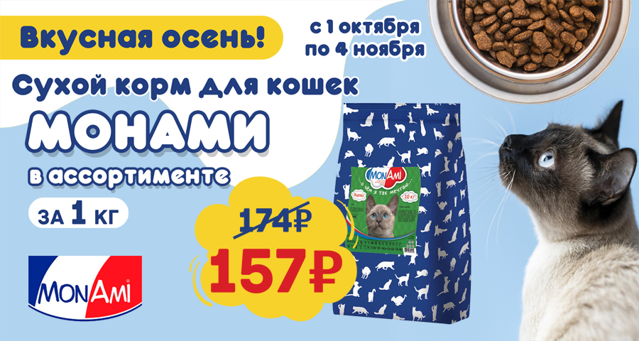 Вкусная осень! Скидка на сухой корм для кошек Mon Ami!