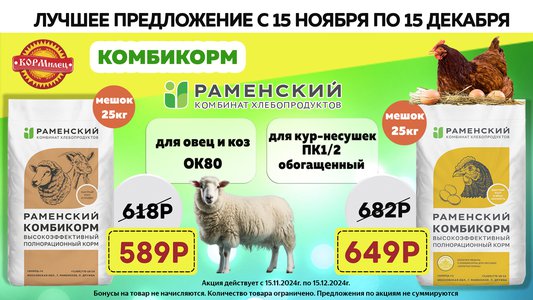 Акция на Раменский комбикорм для кур-несушек, овец и коз!