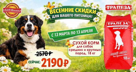 Весенние скидки для вашего питомца!