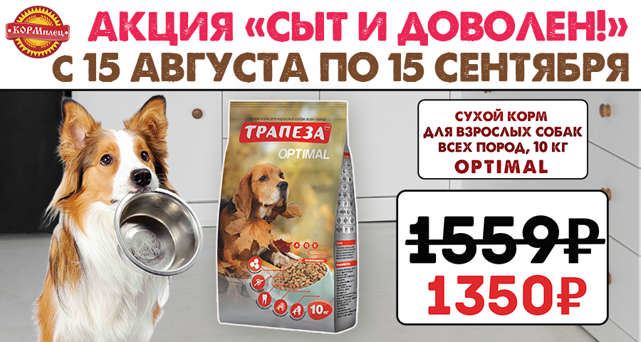 Акция "Сыт и доволен"!