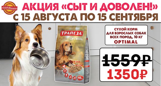 Акция "Сыт и доволен"!