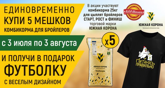Футболка с весёлым дизайном Южная Корона в подарок!