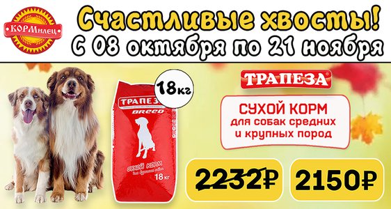 Счастливые хвосты!
