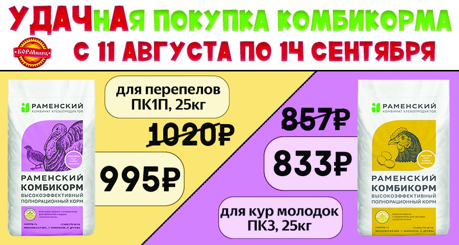 УДАЧнАя покупка комбикорма