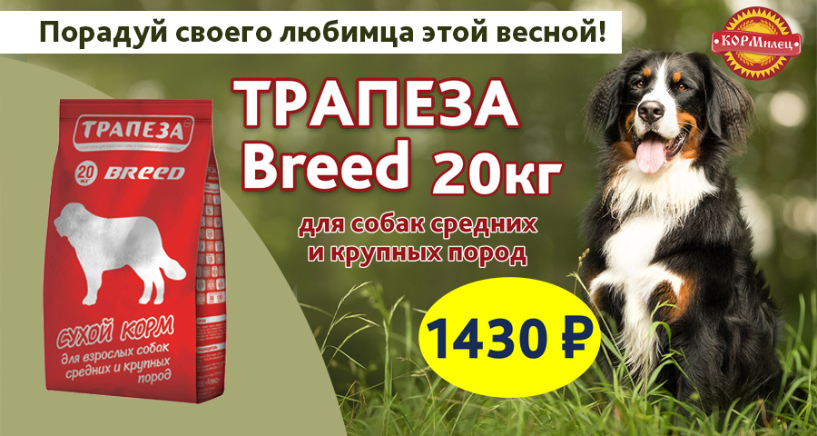 Трапеза Breed по сниженной цене!