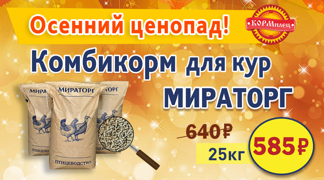 ОСЕННИЙ ЦЕНОПАД!
