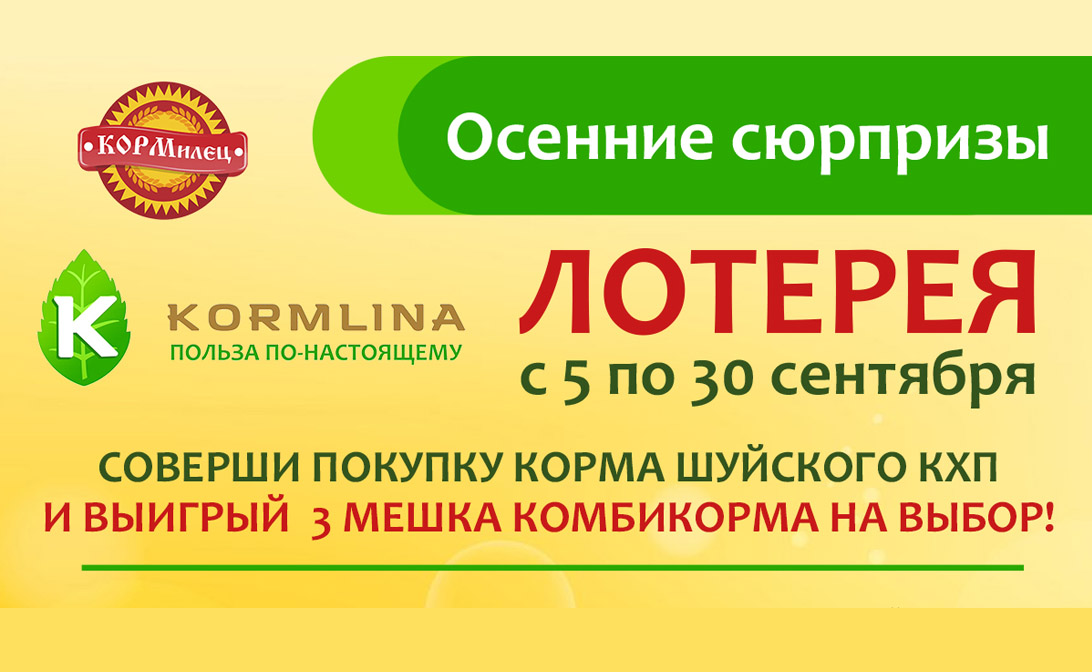 Осенние сюрпризы. Лотерея!