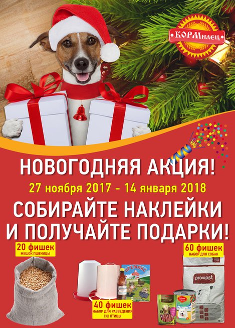 Новогодняя акция! 