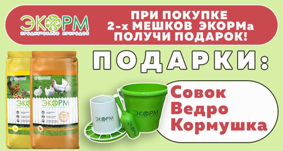 Подарки от ЭКОРМа в Егорьевске!