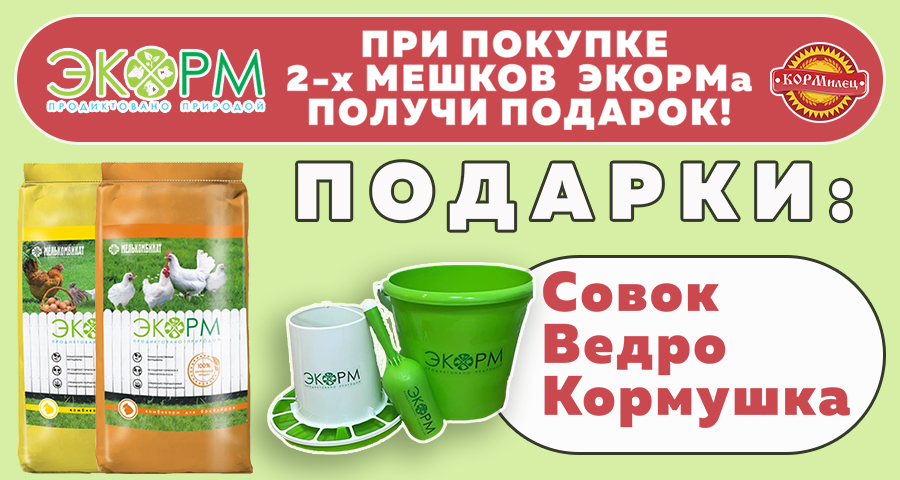 Подарки от ЭКОРМа в Коломне!