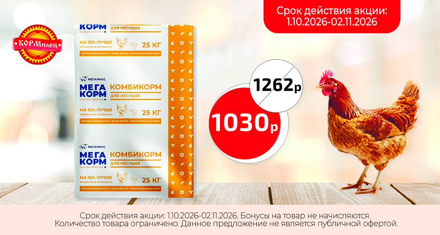 Сбалансированный рацион для несушек: МегаКорм Фаза 1 по акции!