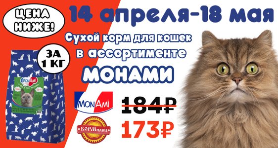 МОНАМИ по СНИЖЕННОЙ цене!