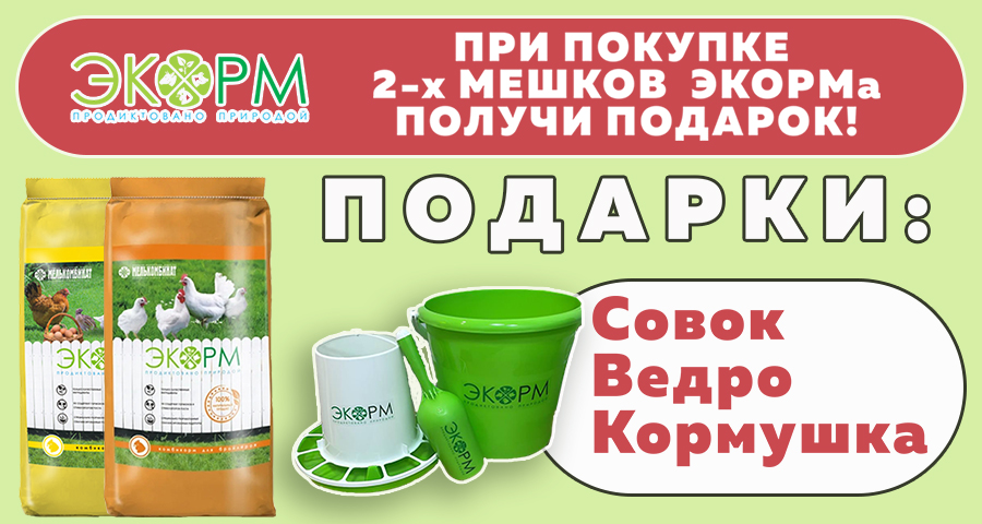 Подарки от ЭКОРМа в Ногинске!