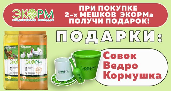 Подарки от ЭКОРМа в Ногинске!