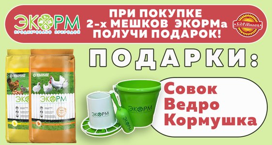 Подарки от ЭКОРМа в Орехово-Зуево!