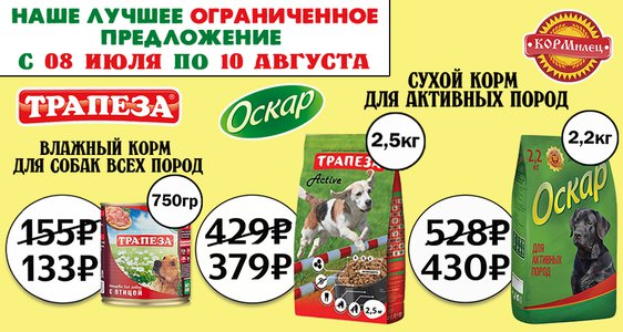 Наше лучшее ограниченное предложение!