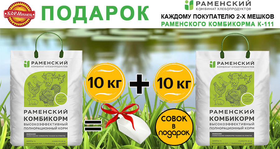 СОВОК В ПОДАРОК!
