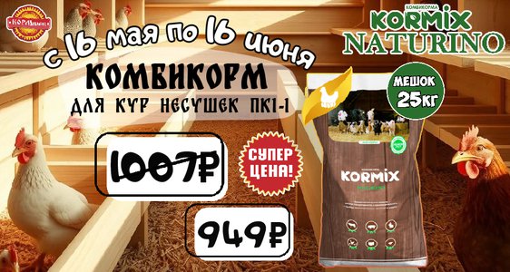 Акция на комбикорм для кур-несушек!