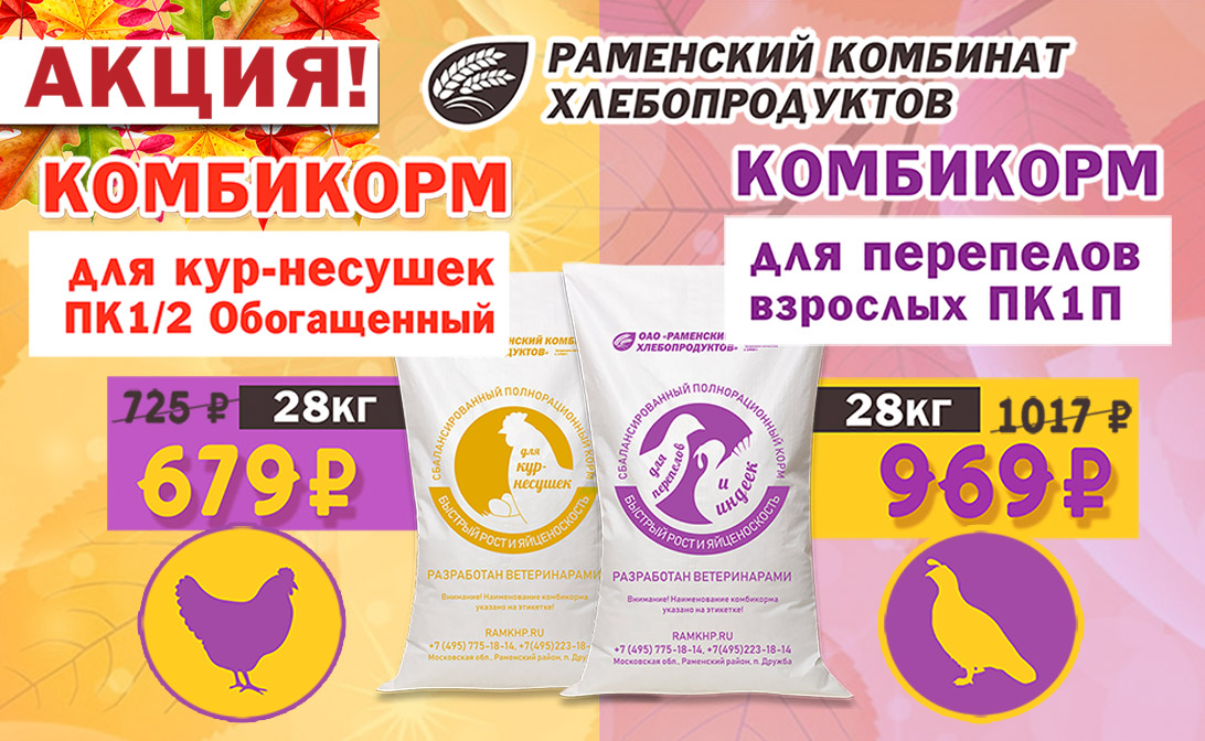 Осень - выгодная пора!