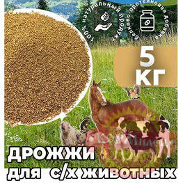 Дрожжи ГОСТ (5кг) Пон арт.29461
