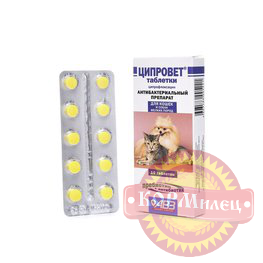 Ципровет д/кошек щенков и мелк собак 10таб  (ЧЗ) арт.28602